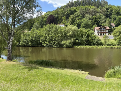 Schönau (Pfalz) Grundstücke, Schönau (Pfalz) Grundstück kaufen