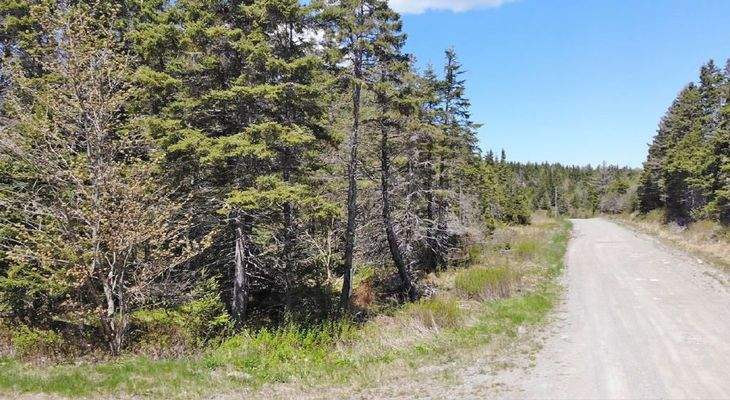 Cape Breton - 11,4 Hektar inmitten einer herrliche