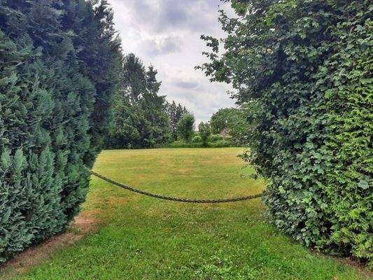 Zufahrt zur großen Wiese 1