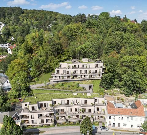 Kaltenleutgeben Wohnungen, Kaltenleutgeben Wohnung kaufen