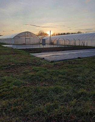 Beepitheto_belteruleti_ingatlan__igenyes_kerteszettel_245392755933168 (1).jpg