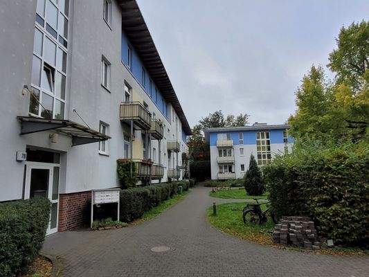 20251007_120308_resized