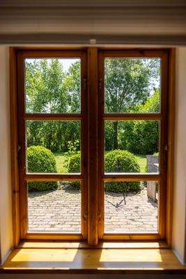 Blick aus Fenster ins Grüne