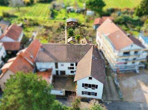 Neustadt an der Weinstraße / Gimmeldingen Häuser, Neustadt an der Weinstraße / Gimmeldingen Haus kaufen