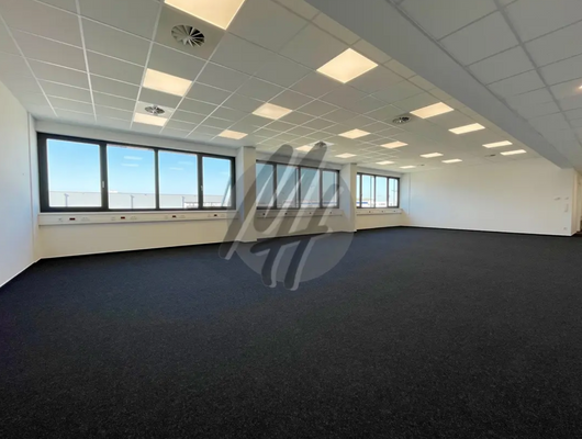 INFOS UNTER: 06171-586000