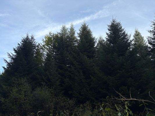 2025-10-08 15.08.08.jpg