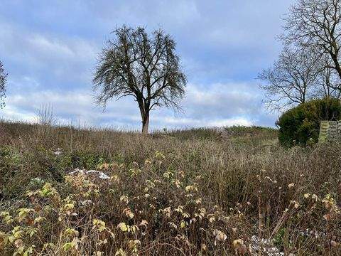 Sinzing Bergmatting Grundstücke, Sinzing Bergmatting Grundstück kaufen