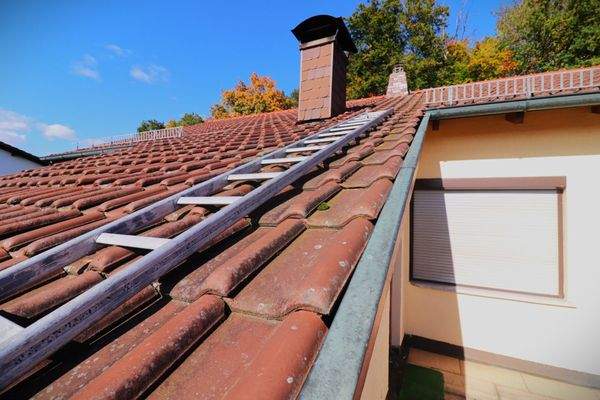 Dach erscheint in einer soliden Verfassung