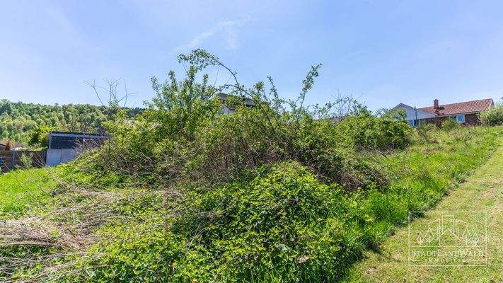 Blick auf den Bauplatz_BP_Ruppertsweiler_Am Ruppertstein 10