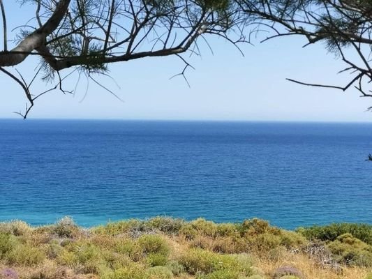 Kreta, Mochlos: Baugrundstück mit Meerblick zu ver