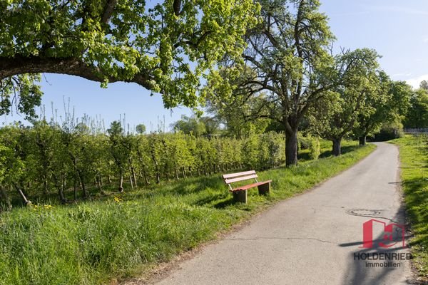 Weg zum Strand