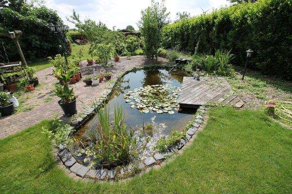 kleiner Teich im Garten rechts