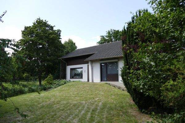 Gartenansicht - Sommer 2025