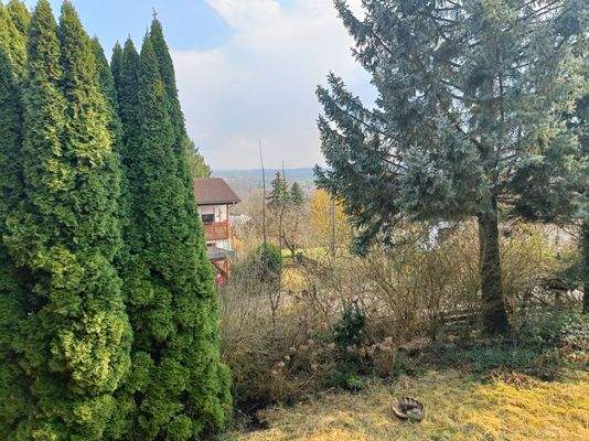 Grundstück mit stattlichem Baumbestand