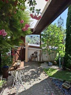 WhatsApp Image 2025-06-24 at 16.45.59.jpeg