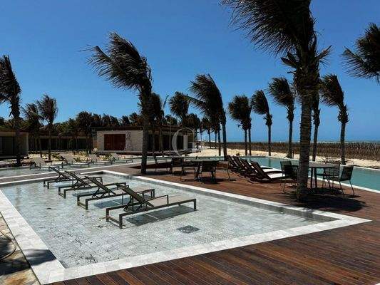 WhatsApp Image 2025-03-17 at 16.40.23 (1)