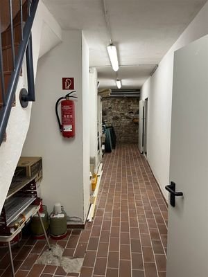 IMG_7534