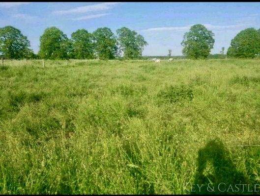  5 Hektar arrondiertes Weideland