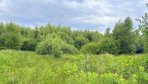 Edewecht Bauernhöfe, Landwirtschaft, Edewecht Forstwirtschaft