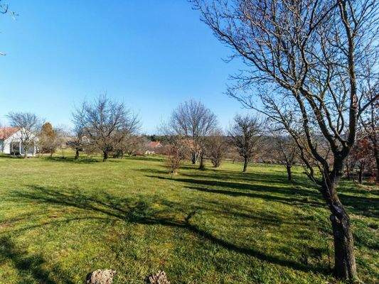 Baugrundstück mit Weitblick - Naturparadies zum Selbstgestalten!