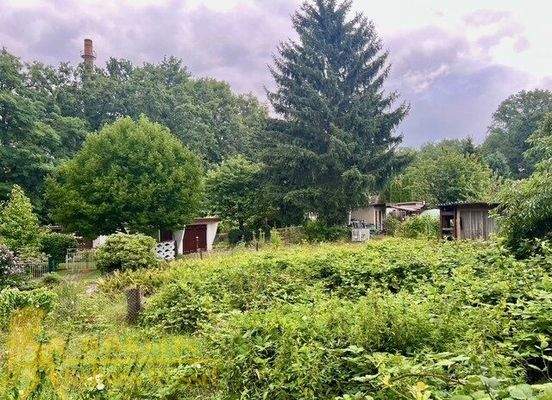 Blick vom Wohnhaus auf die Kleingartenanlage