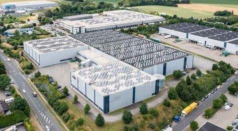 Grevenbroich Halle, Grevenbroich Hallenfläche