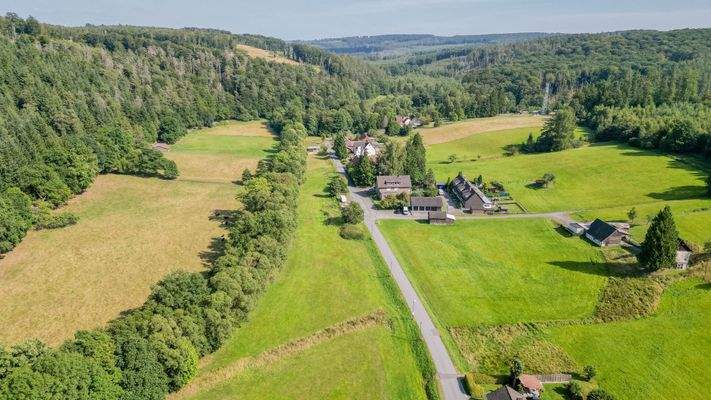 Luftbild mit Grünland 