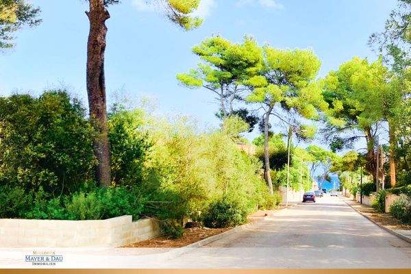 Baugrundstück in Sa Pedruscada