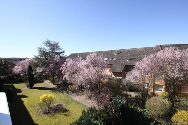 Blick vom Balkon