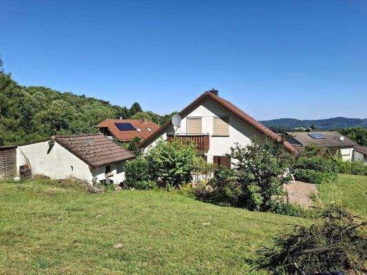 Blick vom Waldrand .jpg