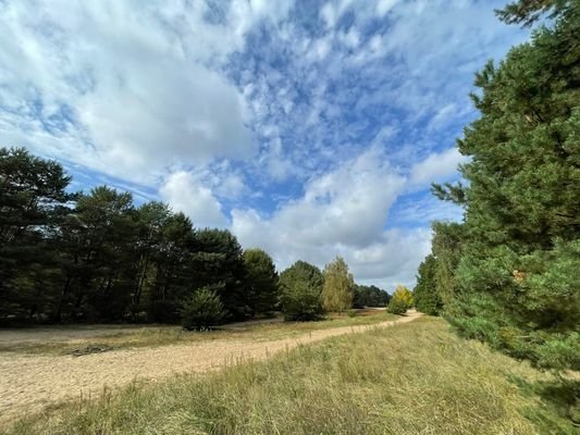 Ödland und Waldfläche