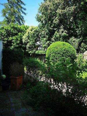 Kleiner Garten 