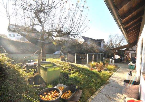 Garten mit Obstbäumen