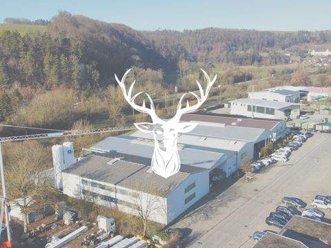 Wutöschingen Renditeobjekte, Mehrfamilienhäuser, Geschäftshäuser, Kapitalanlage