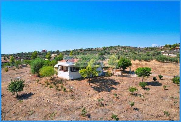 19a5da9695d948de817ed296a8de6947-original