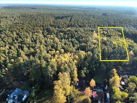 Rüthnick Bauernhöfe, Landwirtschaft, Rüthnick Forstwirtschaft