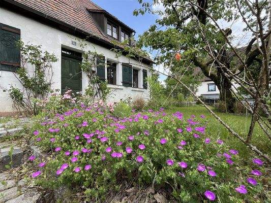 Bild14