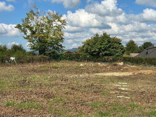 Blick von der Mitte nach Norden