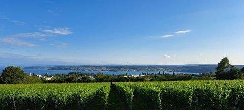 Überlingen Wohnungen, Überlingen Wohnung kaufen