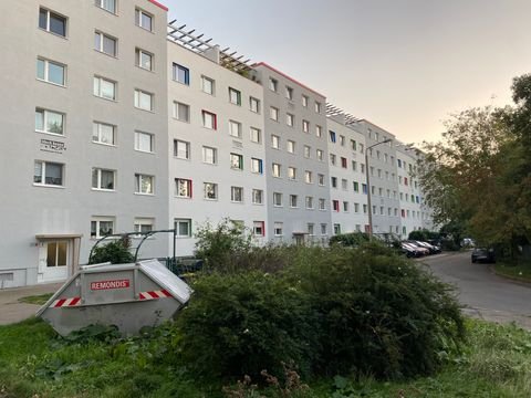 Halle (Saale) Wohnungen, Halle (Saale) Wohnung mieten