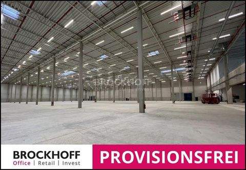 Gelsenkirchen Halle, Gelsenkirchen Hallenfläche