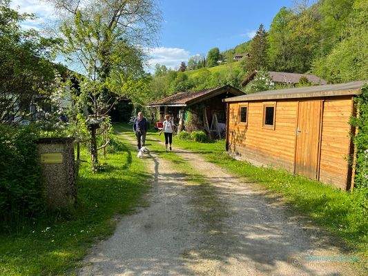 Zufahrt zum Altbestand