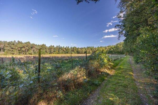 Genießen Sie die Lage