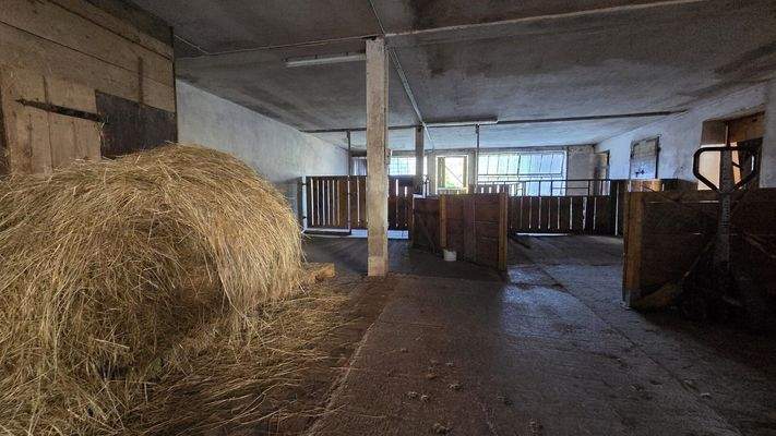 Stall für 4 Pferde