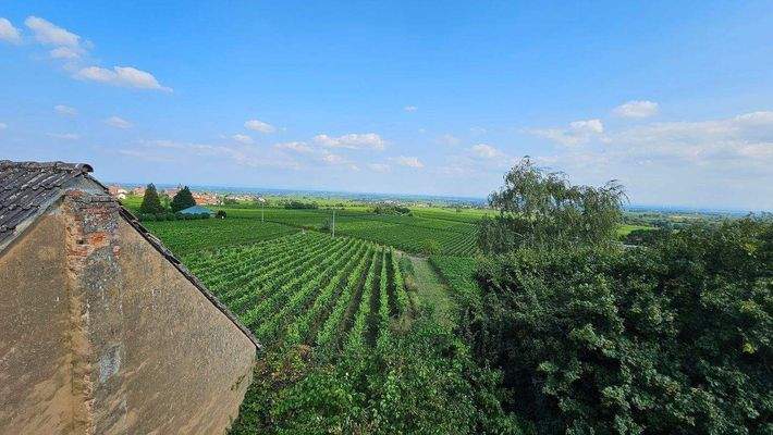 Blick in Rheinebene (6).jpg