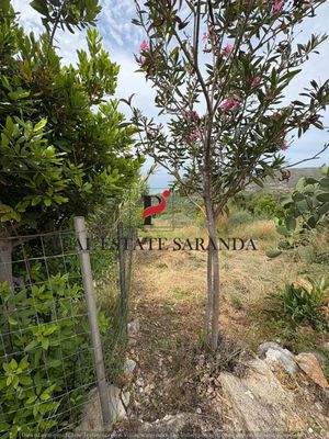 WhatsApp Image 2025-05-11 at 11.23.45-25.jpeg