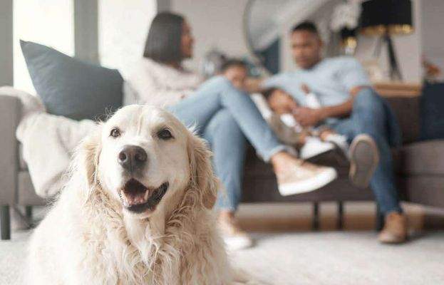 Haus für Hundefreunde