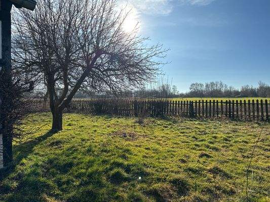 Aussicht aus dem Garten