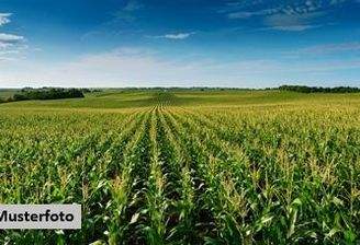 Keine Originalbilder