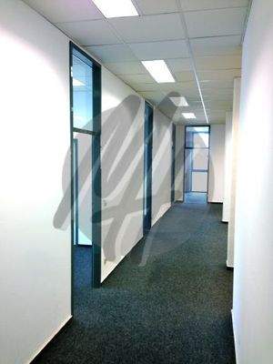 INFOS UNTER: 06171-586000